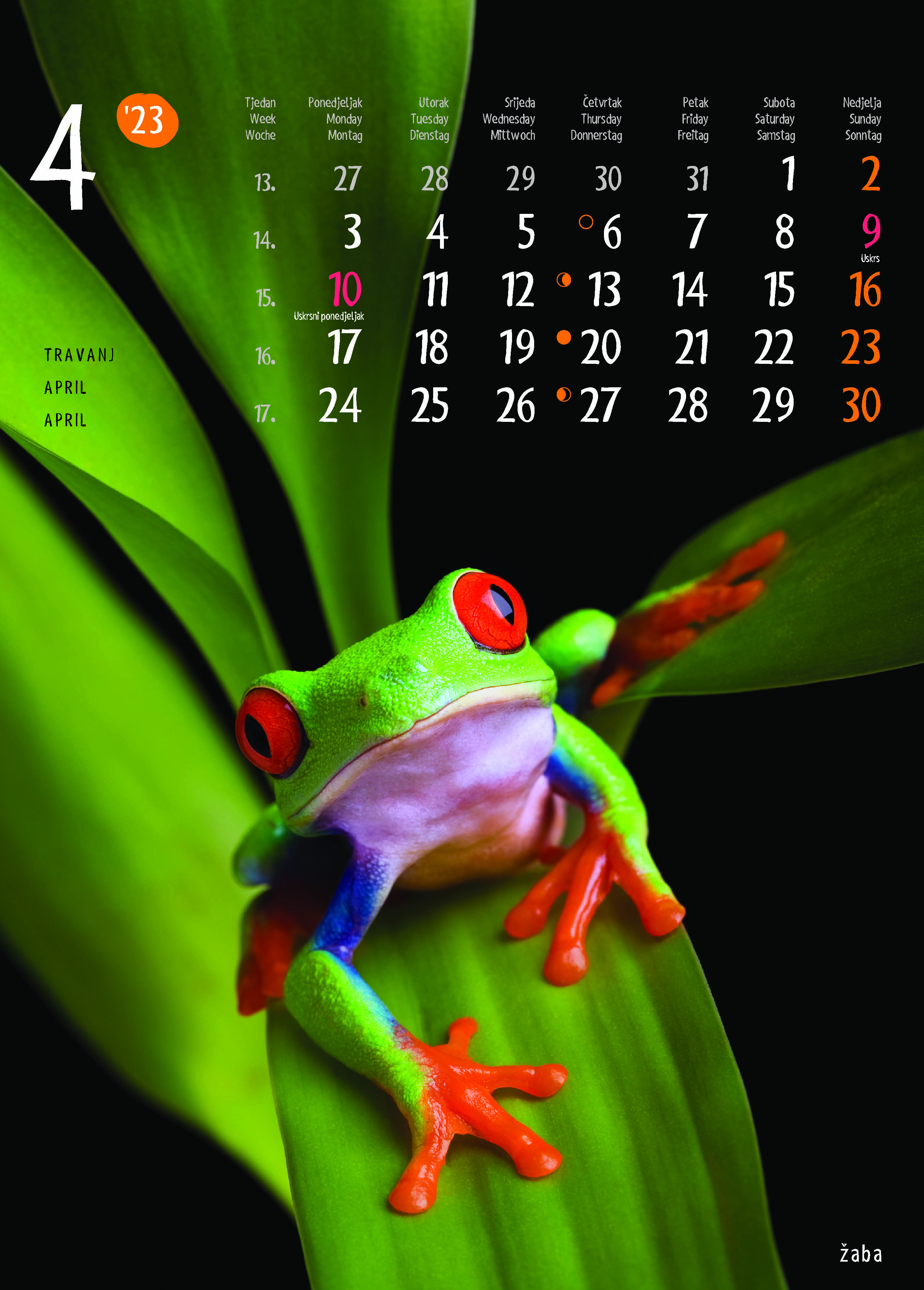 "ŽIVOTINJE" neuvezani, 13 list., dim: 24x34 cm, PVC vrećica, P/40