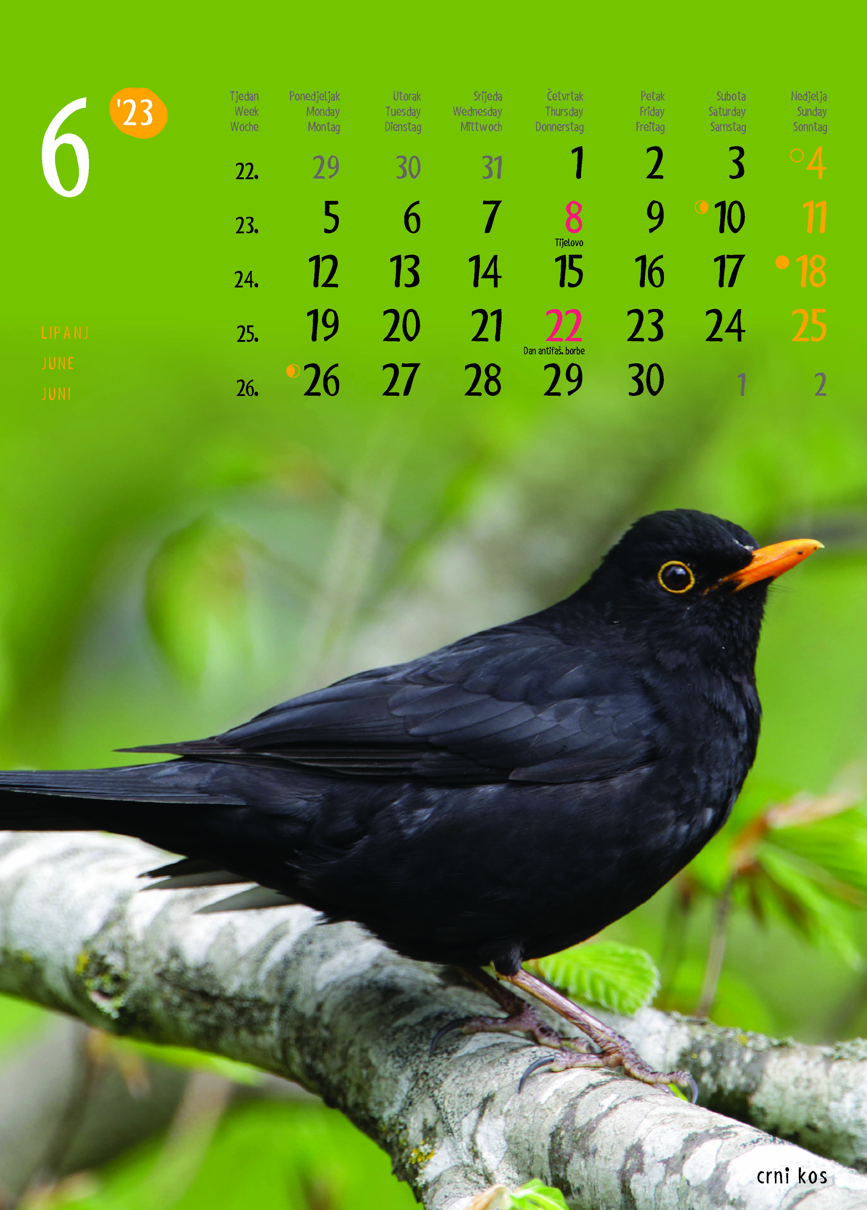 "ŽIVOTINJE" neuvezani, 13 list., dim: 24x34 cm, PVC vrećica, P/40