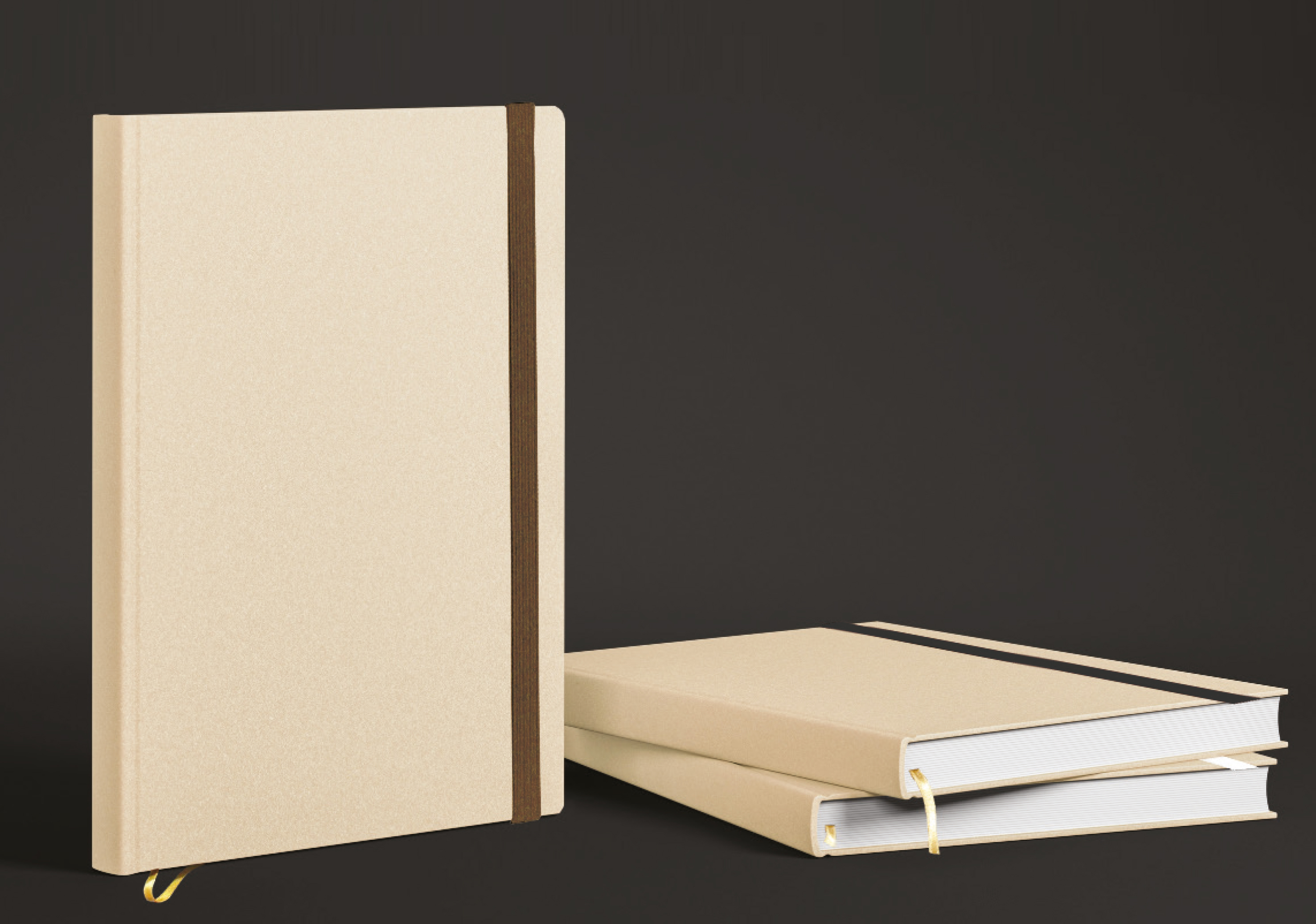 "EKO NOTES" s smeđom gumicom NOTES A5, poslovni, dim:14,8x21cm, P/20