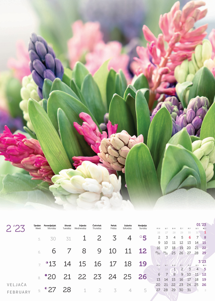 "CVIJEĆE" 13 list., dim: 24x53,5 cm, PVC vrećica, P/50, color kalendar  NEZAVRŠENI