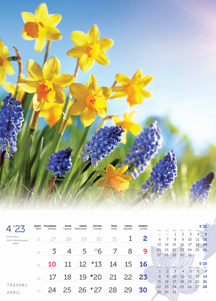 "CVIJEĆE" 13 list., dim: 24x53,5 cm, PVC vrećica, P/50, color kalendar  NEZAVRŠENI