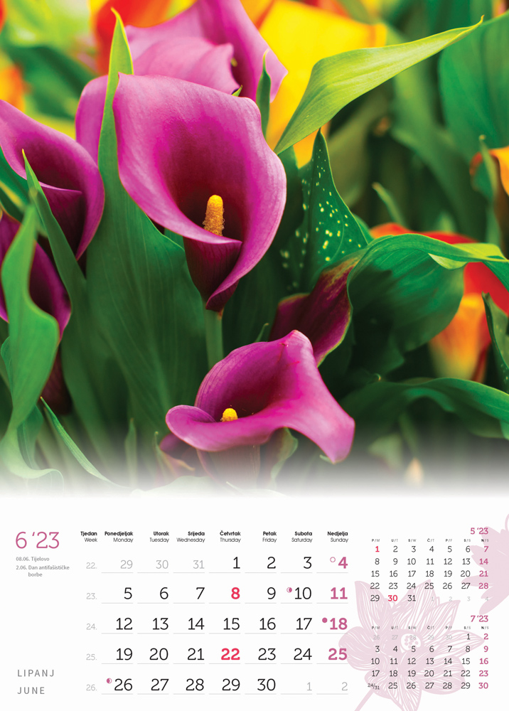 "CVIJEĆE" 13 list., dim: 24x53,5 cm, PVC vrećica, P/50, color kalendar  NEZAVRŠENI