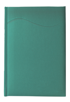 "TALIS A4" green diary, format: 20x26,5 cm, 192 pages, P/20