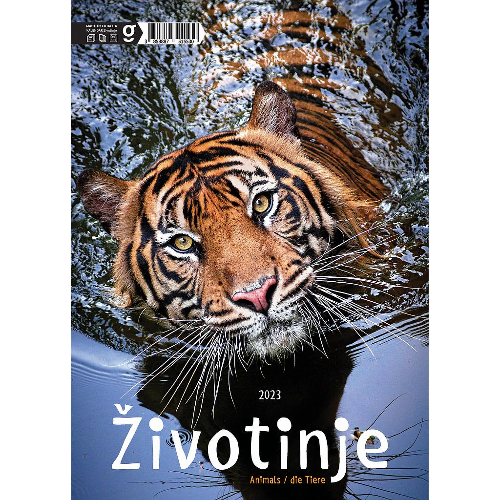 Kalendar color "Životinje " 13lis. dim: 24x34 cm, PVC vrećica  P/40