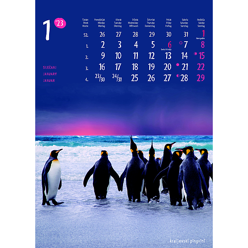 "ŽIVOTINJE" neuvezani, 13 list., dim: 24x34 cm, PVC vrećica, P/40