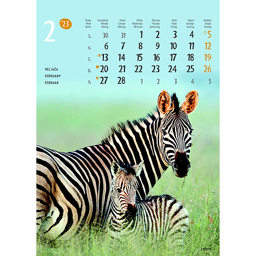 "ŽIVOTINJE" neuvezani, 13 list., dim: 24x34 cm, PVC vrećica, P/40