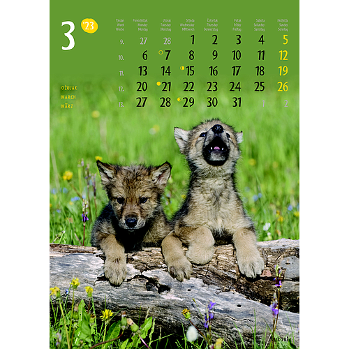 "ŽIVOTINJE" neuvezani, 13 list., dim: 24x34 cm, PVC vrećica, P/40