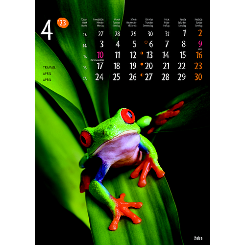 "ŽIVOTINJE" neuvezani, 13 list., dim: 24x34 cm, PVC vrećica, P/40