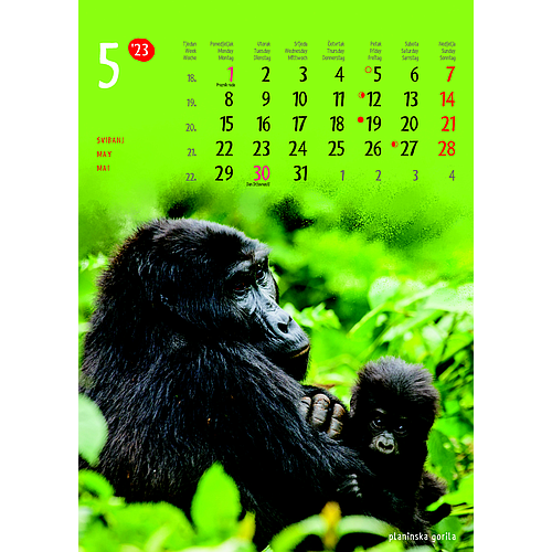 "ŽIVOTINJE" neuvezani, 13 list., dim: 24x34 cm, PVC vrećica, P/40