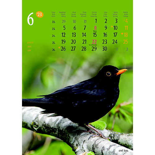 "ŽIVOTINJE" neuvezani, 13 list., dim: 24x34 cm, PVC vrećica, P/40