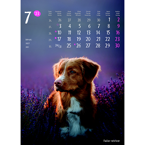 "ŽIVOTINJE" neuvezani, 13 list., dim: 24x34 cm, PVC vrećica, P/40