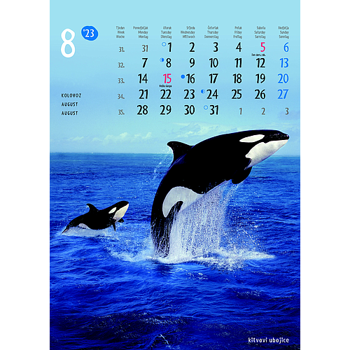 "ŽIVOTINJE" neuvezani, 13 list., dim: 24x34 cm, PVC vrećica, P/40