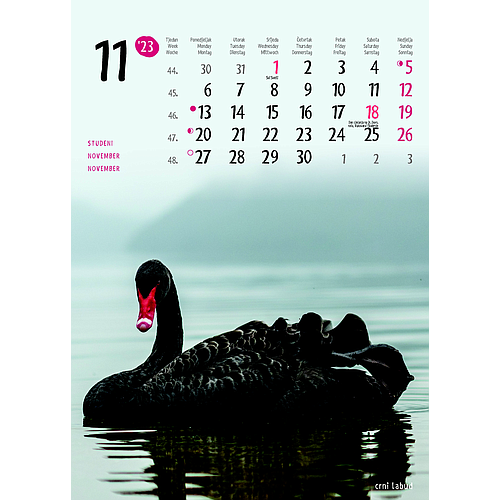 "ŽIVOTINJE" neuvezani, 13 list., dim: 24x34 cm, PVC vrećica, P/40