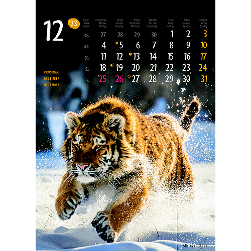 "ŽIVOTINJE" neuvezani, 13 list., dim: 24x34 cm, PVC vrećica, P/40