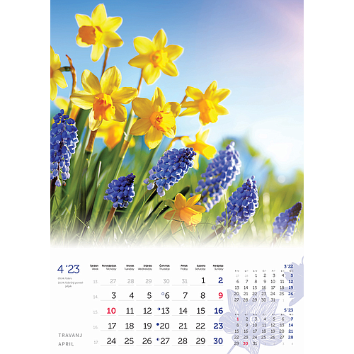 "CVIJEĆE" 13 list., dim: 24x53,5 cm, PVC vrećica, P/50, color kalendar  NEZAVRŠENI